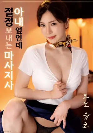 51动漫影视 第九块拼图 封面